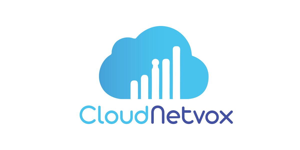 Netvox Networks Infrastructure Limited provider